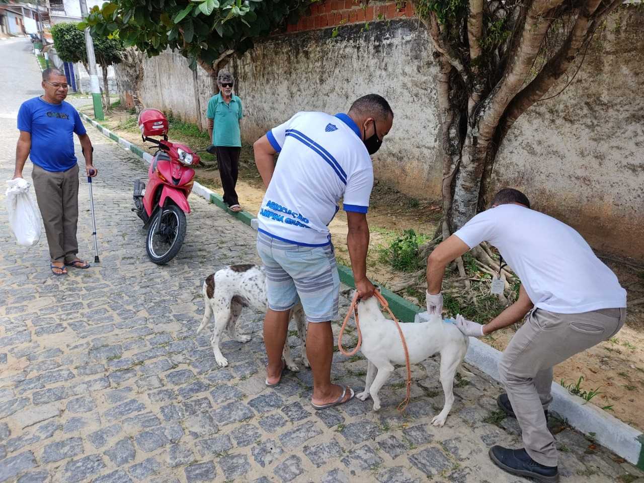 Camacã: Prefeitura realiza campanha de Vacinação antirrábica